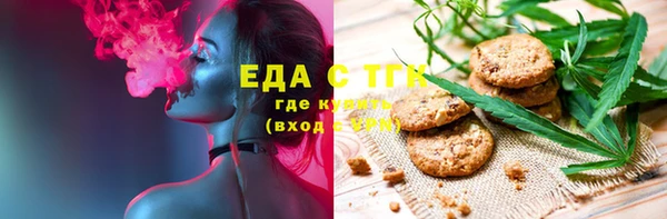 индика Алексин