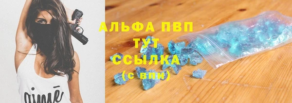 индика Алексин