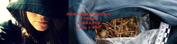 дживик Зеленокумск