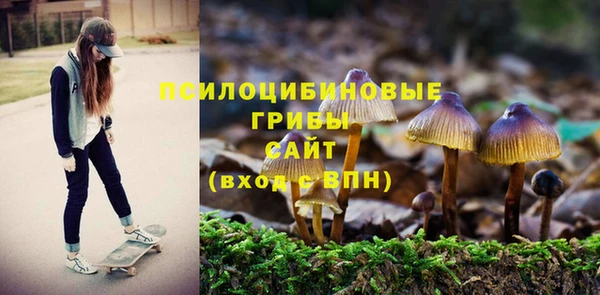 хмурый Алексеевка