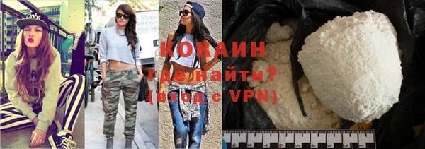 индика Алексин