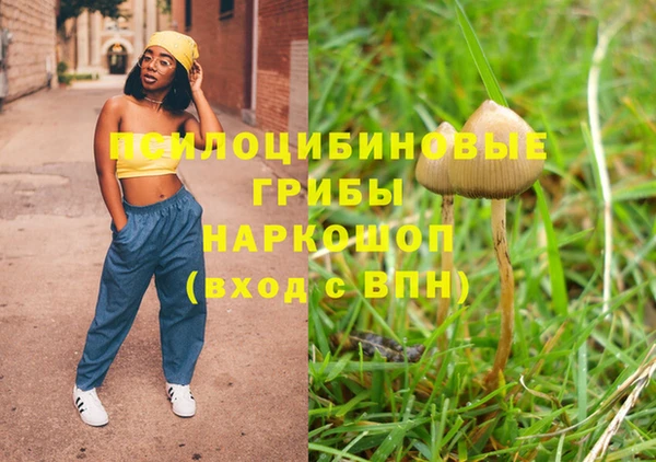 хмурый Алексеевка