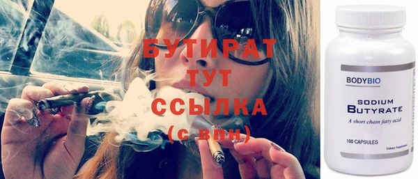индика Алексин