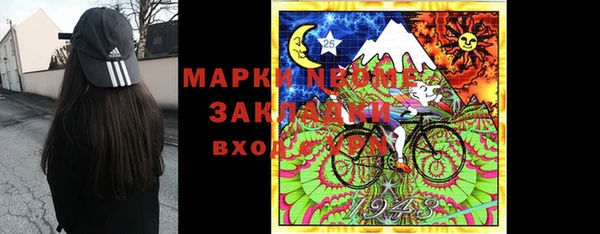 индика Алексин