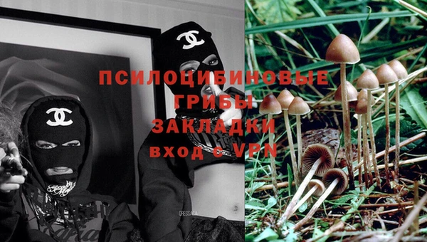 индика Алексин