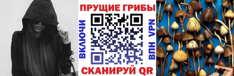 OMG маркетплейс  Спасск-Рязанский  Галлюциногенные грибы GOLDEN TEACHER 